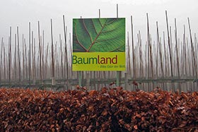 Немецкий питомник растений Baumland – молодое динамично развивающееся предприятие.