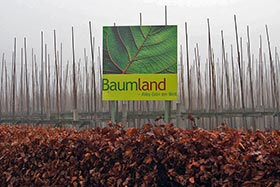    Baumland     .