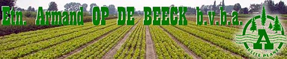   Armand OP DE BEECK.