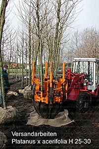   Marken       4xv.
