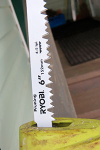     ,      ,   Pruning