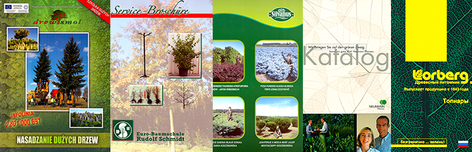 GREENERY.RU  :      