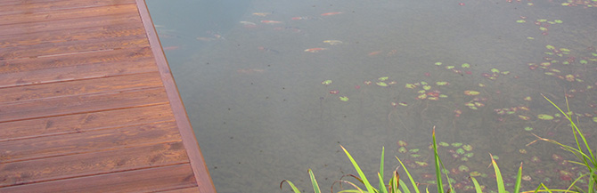 GREENERY.RU РЕКОМЕНДУЕТ: