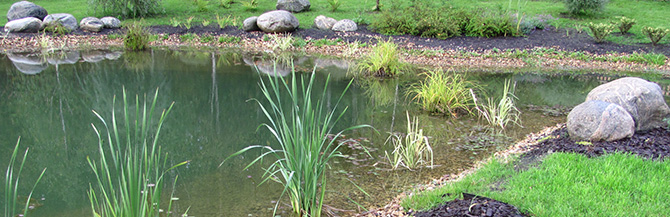 GREENERY.RU РЕКОМЕНДУЕТ: