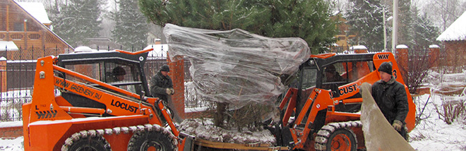 GREENERY.RU РЕКОМЕНДУЕТ: