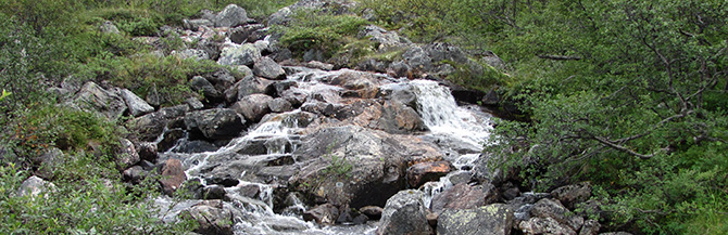 GREENERY.RU РЕКОМЕНДУЕТ: